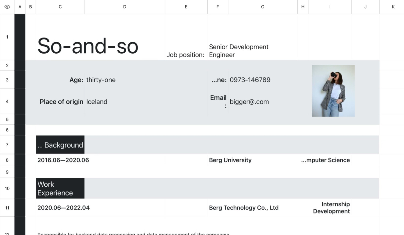Programmer Resume